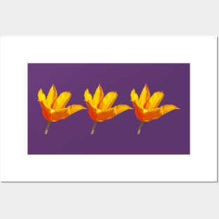 Three Orange Tulips Floral Photo Posters and Art